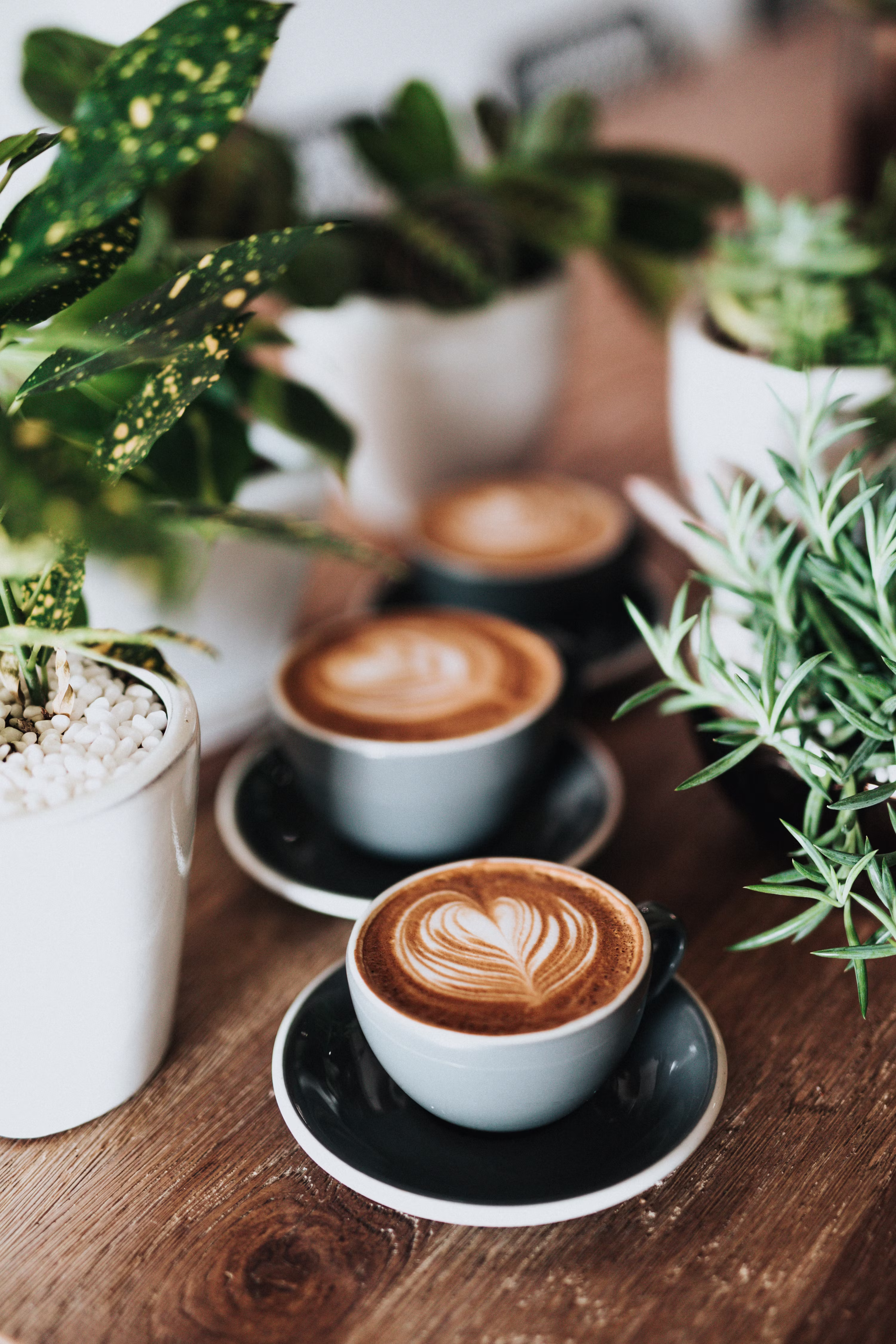Premium Coffee